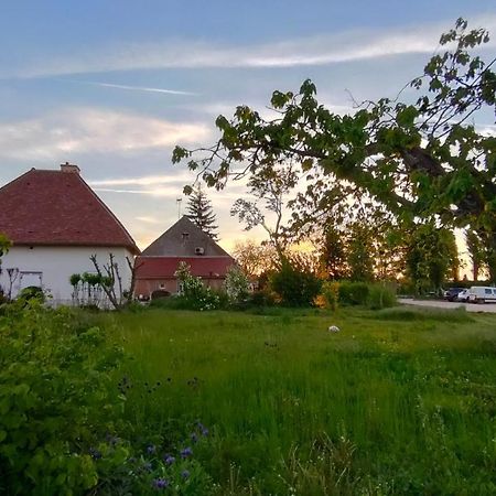Domaine Ravy-Lilas Saint-Symphorien-sur-Saone Екстер'єр фото