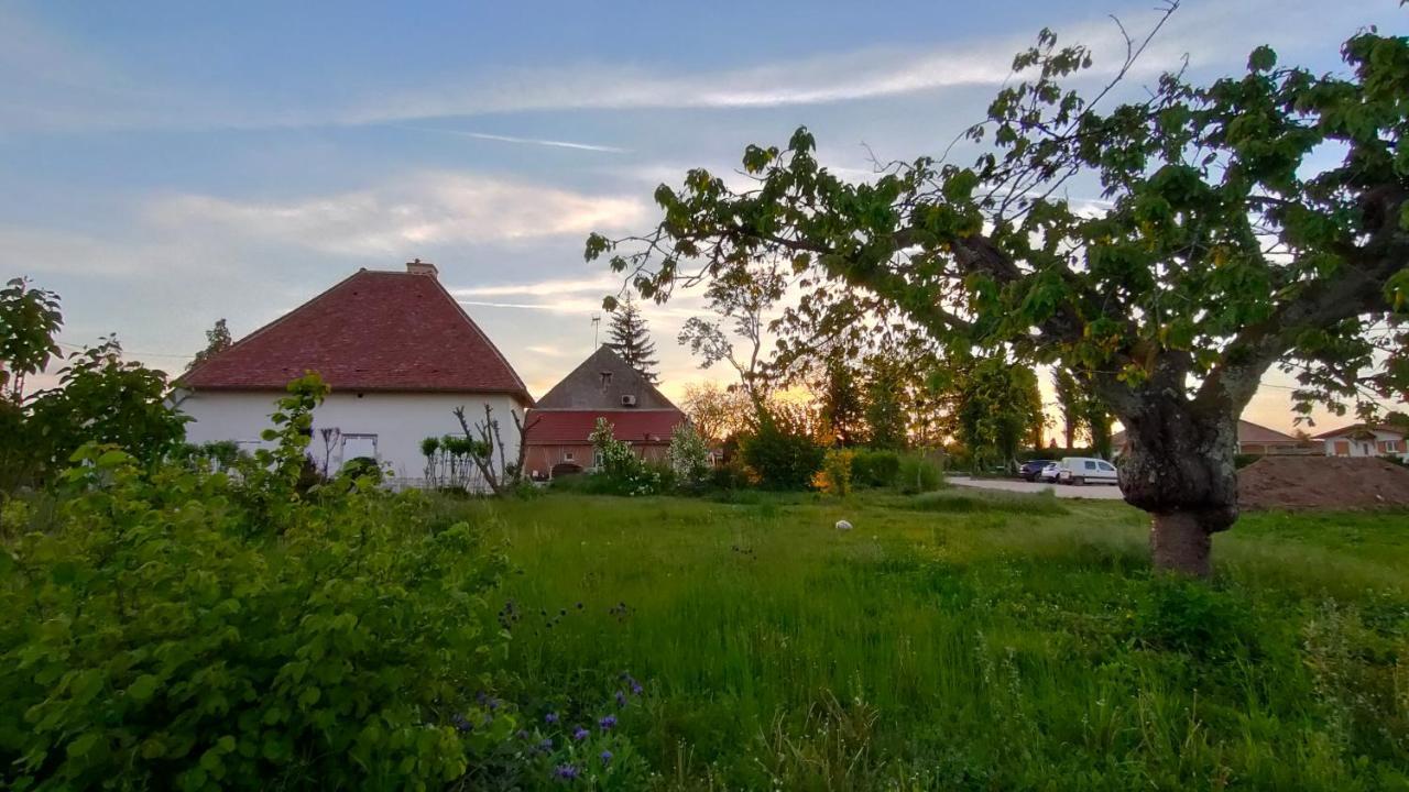 Domaine Ravy-Lilas Saint-Symphorien-sur-Saone Екстер'єр фото